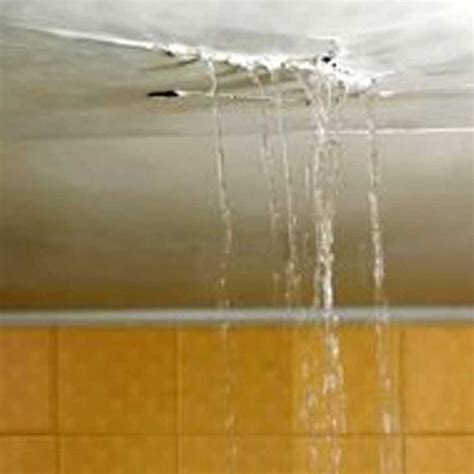 what to do if bathtub is leaking through ceiling|What to Do When Bathroom Leaks Through Ceiling